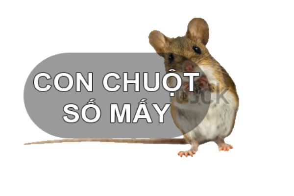 con-chuot-so-may