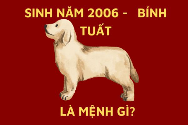 sinh-nam-2006-bao-nhieu-tuoi